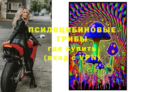 Альфа ПВП Володарск